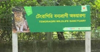 তালতলী সোনার চর ইকোপার্কের বেহাল দশা