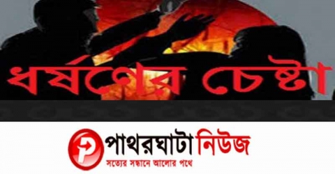 তালতলীতে গৃহবধুকে ধর্ষন চেষ্টার অভিযোগে মামলা