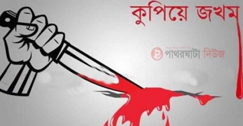 তালতলীতে ধর্ষনে বাধা দেয়ায় গৃহবধুকে কুপিয়ে জখম