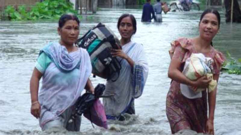 ফাইল ছবি