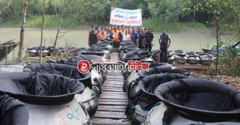 পাথরঘাটায় ৮৫ লাখ বাগদা-চিংড়ি রেনু অবমুক্ত