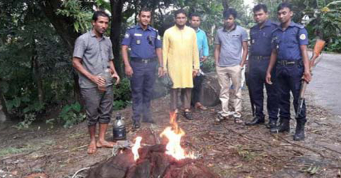 বেতাগীতে ভ্রাম্যমান আদালতে অবৈধ জাল জব্দ