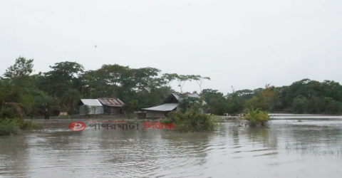 পাথরঘাটায় জোয়ারের পানি বন্দি চারশ ঘরবাড়ি