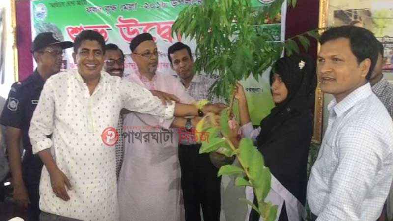 মেধাবী শিক্ষার্থীদের চারা বিতরণ