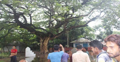 ইন্দুরকানীতে গাছ ও দিঘির কেরামতি দেখতে মানুষের ভিড়