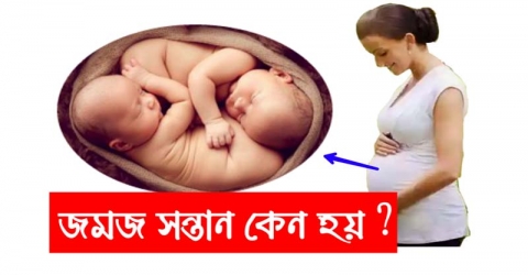 জানেন কী? জমজ সন্তান কেন হয় …জানুন ছবিতে ক্লিক করে