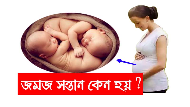 জানেন কী? জমজ সন্তান কেন হয় …জানুন ছবিতে ক্লিক করে