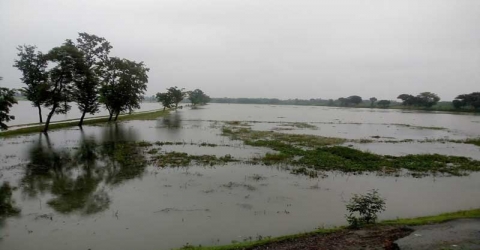 দেশের প্রধান নদ-নদীর পানি বিপদসীমার নীচে