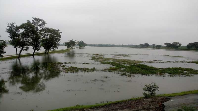 ছবিঃ সংগ্রহীত