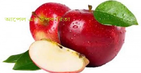 সুস্থ থাকতে চাইলে আপেল খান