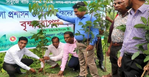 বরগুনা-বরিশাল মহাসড়কে বৃক্ষরোপণ কর্মসূচি উদ্বোধন