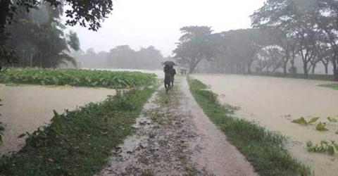 বৃষ্টিপাতের প্রবণতা বাড়তে পারে আগামী ৭২ ঘন্টায়