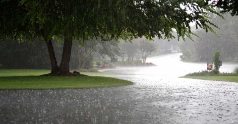 সোম ও মঙ্গলবার সারা দেশে বৃষ্টিপাতের সম্ভাবনা