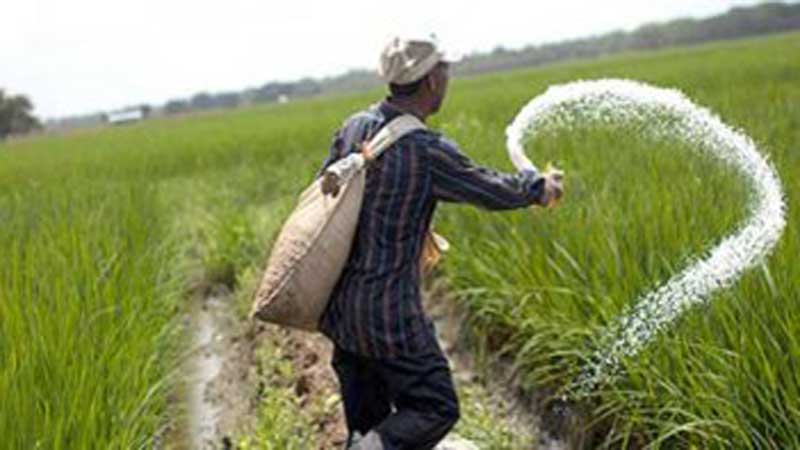 ছবিঃ ইন্টারনেট থেকে নেয়া