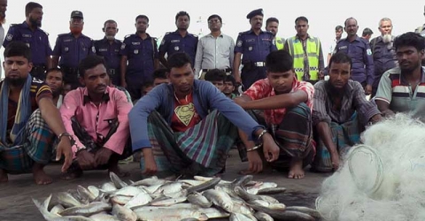 ইলিশ শিকারের দায়ে ২২ জেলে আটক