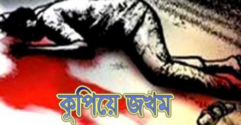 আমতলীতে নৌকার সমর্থন করায় গৃহবধূকে কুপিয়ে জখম