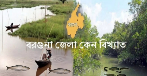 বরগুনা জেলা কোন কারনে ও কেন বিখ্যাত ?