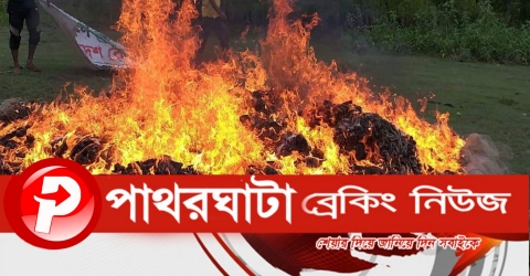 পাথরঘাটায় ২লাখ মিটার অবৈধ জালসহ ২ জেলে আটক