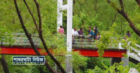 পাথরঘাটার হরিণঘাটার অপরুপ সৌন্দর্য আজ ধ্বংশের পথে