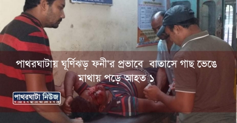 পাথরঘাটায় ঘূর্ণিঝড় ফনী প্রভাবে: বাতাসে গাছ ভেঙে মাথায় পড়ে আহত ১