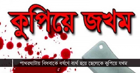 পাথরঘাটায় বিধবাকে ধর্ষণে ব্যর্থ হয়ে ছেলেকে কুপিয়ে যখম, মামলা করে পালিয়ে বেড়াচ্ছে বাদী