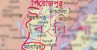 মঠবাড়িয়ায় ধানক্ষেতে মানুষের কঙ্কাল