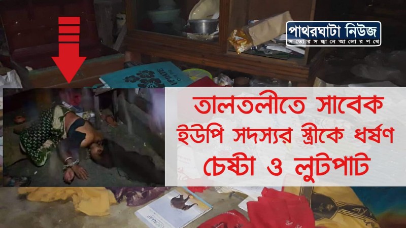 তালতলীতে সাবেক ইউপি সদস্যর স্ত্রীকে ধর্ষণ চেষ্টা  ও লুটপাট