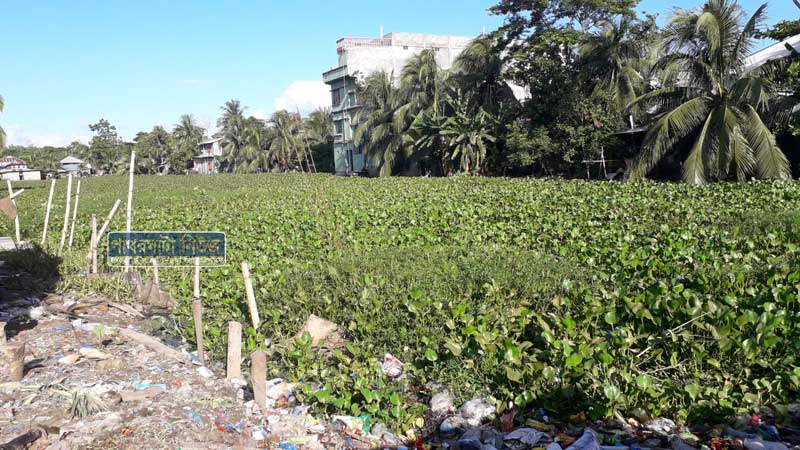 পৌরসভার পাইকপাড়ার দিঘি