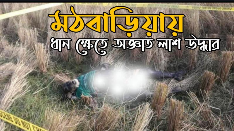 মঠবাড়িয়ায় ধান ক্ষেত থেকে অজ্ঞাত ব্যক্তির অর্ধ গলিত লাশ উদ্ধার