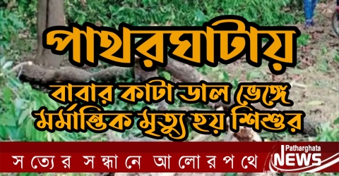 বাবার সাথে আর খেলা হলো না জান্নাতির