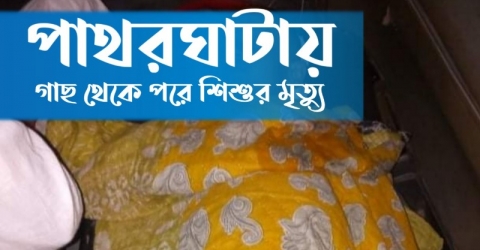 পাথরঘাটায় গাছ থেকে পরে শিশুর মৃতু