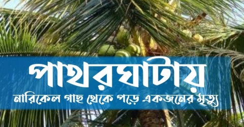 পাথরঘাটায় গাছ থেকে পড়ে একজনের মৃত্যু