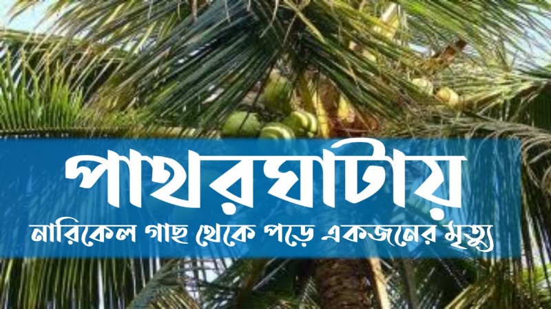 ছবিঃ সংগ্রহীত