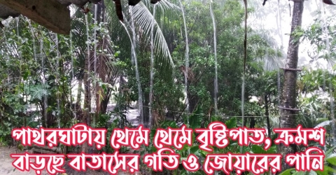 পাথরঘাটায় থেমে থেমে বৃষ্টিপাত, ক্রমশ বাড়ছে বাতাসের গতি ও জোয়ারের পানি