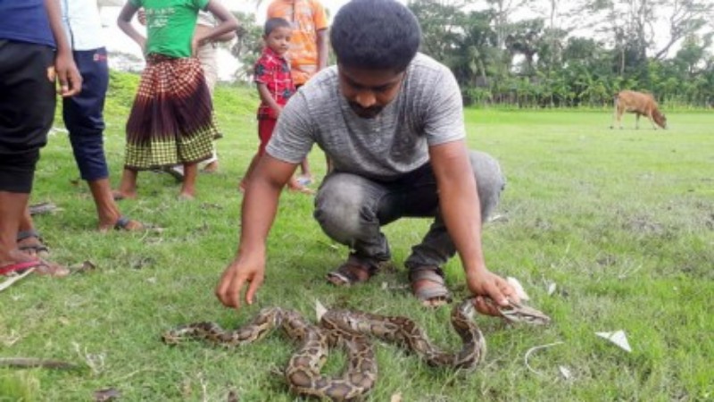 ছবিঃ সংগ্রহীত