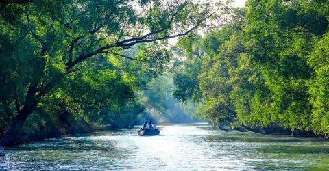 সুন্দরবনে অপহৃত পাথরঘাটার ঝিনুক শ্রমিককে উদ্ধার করলো র‌্যাব