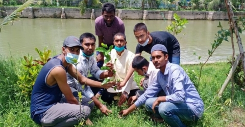 পরিবেশ দিবস ও বঙ্গবন্ধুর জন্মশতবার্ষিকীতে পাথরঘাটায় ছাত্রলীগের উদ্যোগে বৃক্ষরোপণ