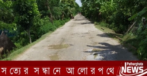 পাথরঘাটা-মঠবাড়িয়া সড়কের বেহাল দশা