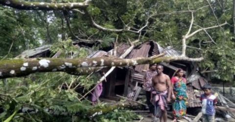 বামনায় টনেডোর আঘাতে গাছ পরে ঘর বিধ্বস্ত, খোলা আকাশে নিচে পরিবার