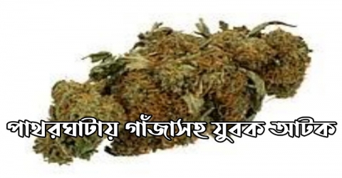 পাথরঘাটায় গাঁজাসহ যুবক আটক