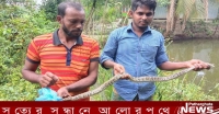 পাথরঘাটায় সাড়ে ৩ফুট লম্বা অজগর সাপ উদ্ধার