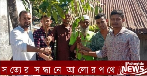 পাথরঘাটায় তারুন্যের আলো মানবকল্যান সংগঠনের গাছের চারা ভিতরণ