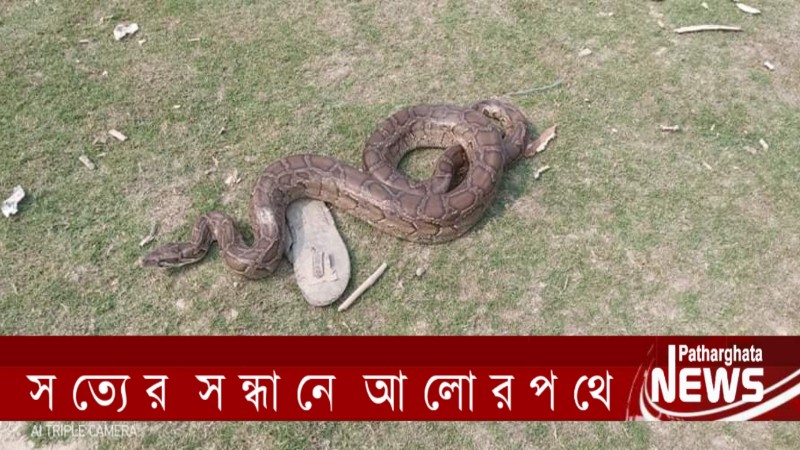 ছবিঃ পাথরঘাটা নিউজ