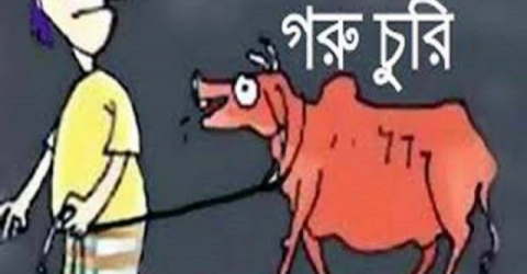 পাথরঘাটায় গরু চুরির অভিযোগ