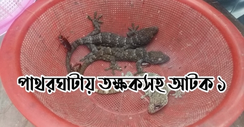 পাথরঘাটায় তক্ষকসহ আটক ১