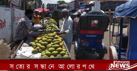 পাথরঘাটা রাসেল স্কয়ার অবৈধ ফল ব্যাবসায়ীদের দখলে!