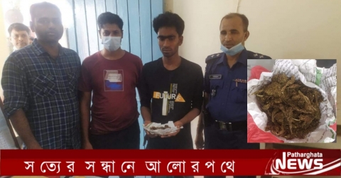 পাথরঘাটায় পুলিশের হাতে গাঁজাসহ আবারো জুয়েল আটক