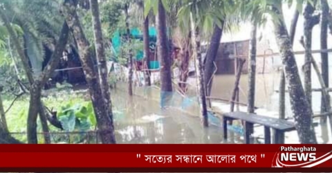 পাথরঘাটায় ভারী বর্ষণে মৎস্য খাতে প্রায় সোয়া ১ কোটি টাকার ক্ষতি