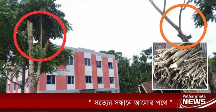 পাথরঘাটায় প্রতিষ্ঠানের গাছ আত্নসাতে বাধাঁ, ১৫ই আগস্টকে ইস্যু করে স্থানীয়দের হয়রানী