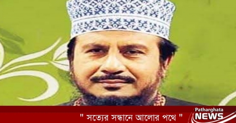 পাথরঘাটায় নুরুল ইসলাম ফারুকী ৭ম শাহাদাত বার্ষিকীতে মিলাদ ও দোয়া